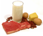 Fehérjedús ételeket kell fogyasztani a fitneszedzés mellett! Fehérjedús ételeket kell fogyasztani a fitneszedzés mellett! Így a leghatékonyabb!